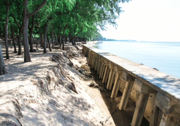 shoreline management