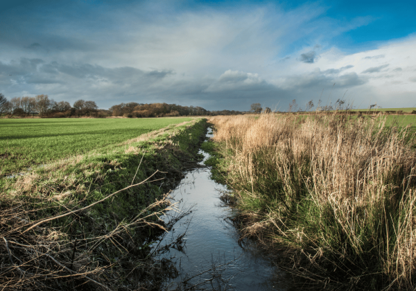 ditch cleaning