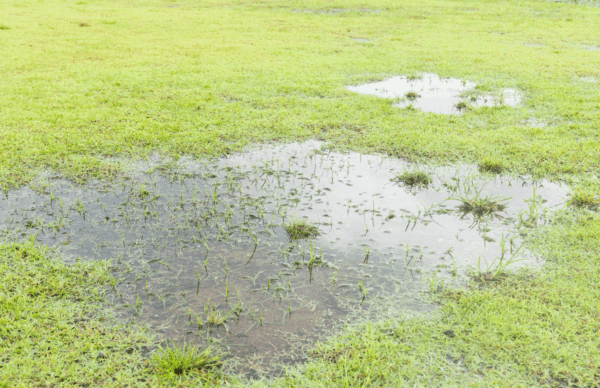 Property Drainage Solutions