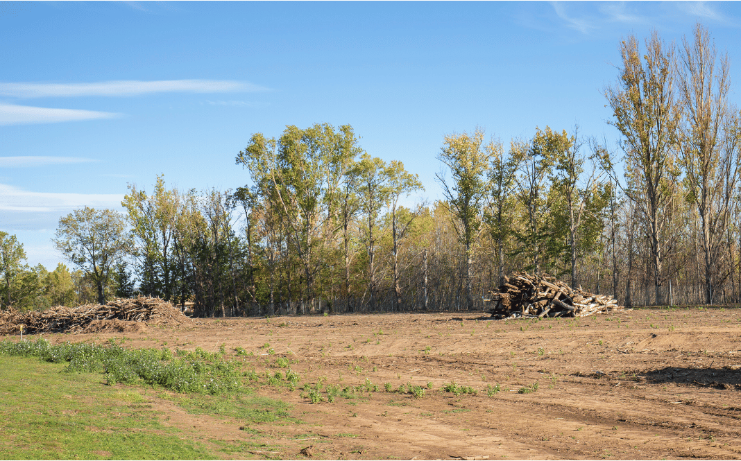 Brush removal services on country lot